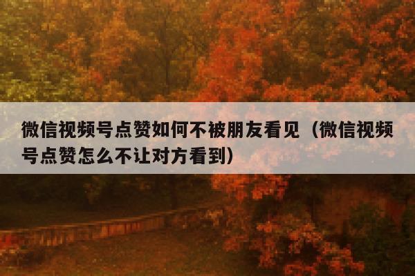 微信视频号点赞如何不被朋友看见(微信视频号点赞怎么不让对方看到) 第1张 微信视频号点赞如何不被朋友看见(微信视频号点赞怎么不让对方看到) 第1张