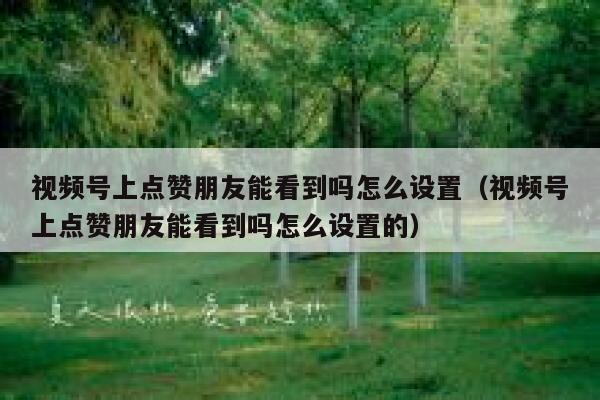 视频号上点赞朋友能看到吗怎么设置(视频号上点赞朋友能看到吗怎么设置的) 第1张 视频号上点赞朋友能看到吗怎么设置(视频号上点赞朋友能看到吗怎么设置的) 第1张