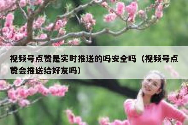 视频号点赞是实时推送的吗安全吗（视频号点赞会推送给好友吗） 第1张
