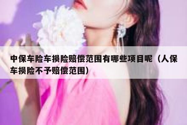 中保车险车损险赔偿范围有哪些项目呢（人保车损险不予赔偿范围） 第1张