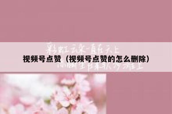 视频号点赞(视频号点赞的怎么删除) 第1张 视频号点赞(视频号点赞的怎么删除) 第1张