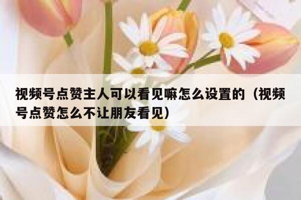 视频号点赞主人可以看见嘛怎么设置的（视频号点赞怎么不让朋友看见） 第1张