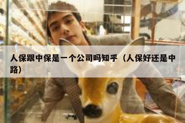 人保跟中保是一个公司吗知乎（人保好还是中路） 第1张