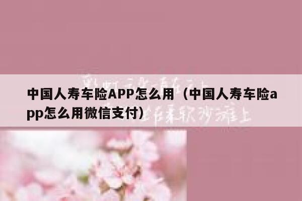 中国人寿车险APP怎么用（中国人寿车险app怎么用微信支付） 第1张