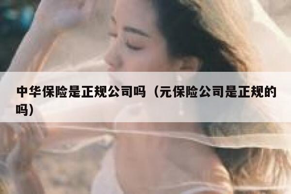 中华保险是正规公司吗（元保险公司是正规的吗） 第1张