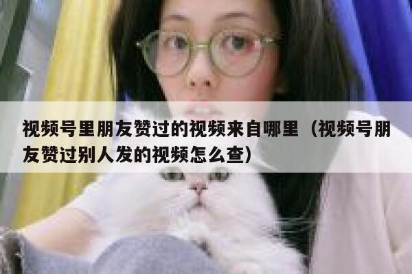 视频号里朋友赞过的视频来自哪里（视频号朋友赞过别人发的视频怎么查） 第1张