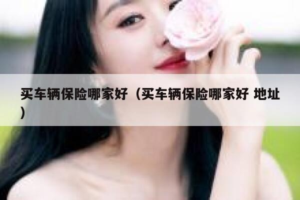 买车辆保险哪家好（买车辆保险哪家好 地址） 第1张