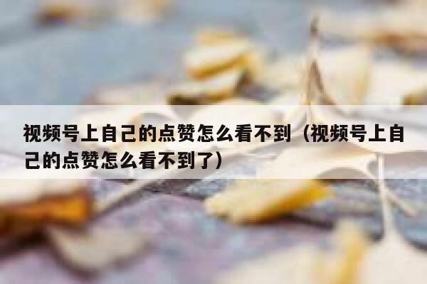 视频号上自己的点赞怎么看不到（视频号上自己的点赞怎么看不到了） 第1张