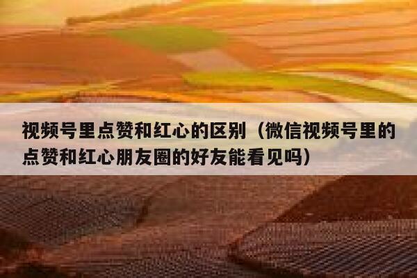 视频号里点赞和红心的区别(微信视频号里的点赞和红心朋友圈的好友能看见吗) 第1张 视频号里点赞和红心的区别(微信视频号里的点赞和红心朋友圈的好友能看见吗) 第1张
