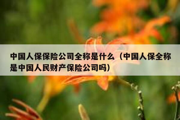 中国人保保险公司全称是什么(中国人保全称是中国人民财产保险公司吗) 第1张 中国人保保险公司全称是什么(中国人保全称是中国人民财产保险公司吗) 第1张