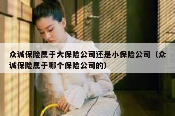 众诚保险属于大保险公司还是小保险公司(众诚保险属于哪个保险公司的) 第1张 众诚保险属于大保险公司还是小保险公司(众诚保险属于哪个保险公司的) 第1张
