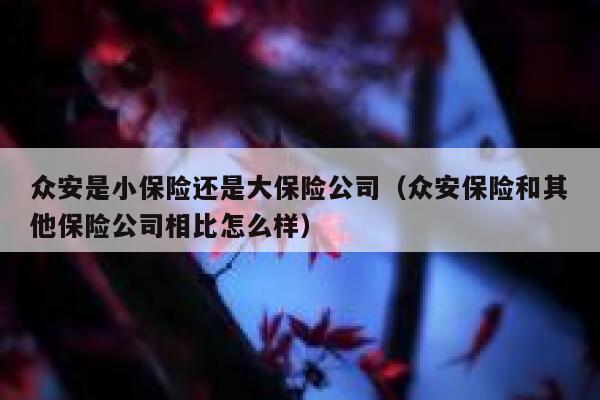 众安是小保险还是大保险公司（众安保险和其他保险公司相比怎么样） 第1张