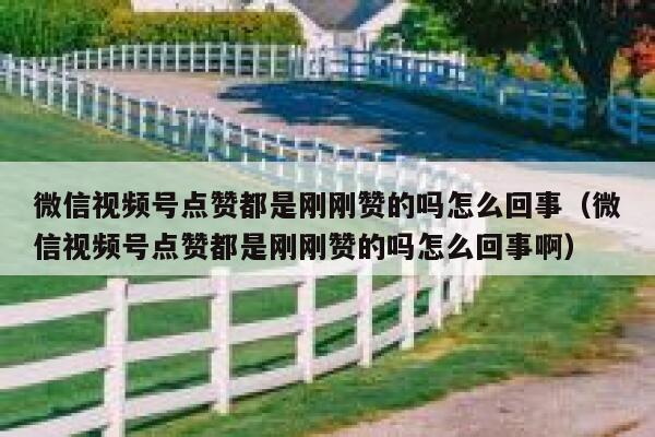 微信视频号点赞都是刚刚赞的吗怎么回事（微信视频号点赞都是刚刚赞的吗怎么回事啊） 第1张