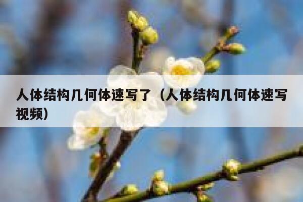 人体结构几何体速写了（人体结构几何体速写视频） 第1张