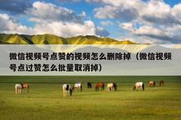 微信视频号点赞的视频怎么删除掉(微信视频号点过赞怎么批量取消掉) 第1张 微信视频号点赞的视频怎么删除掉(微信视频号点过赞怎么批量取消掉) 第1张