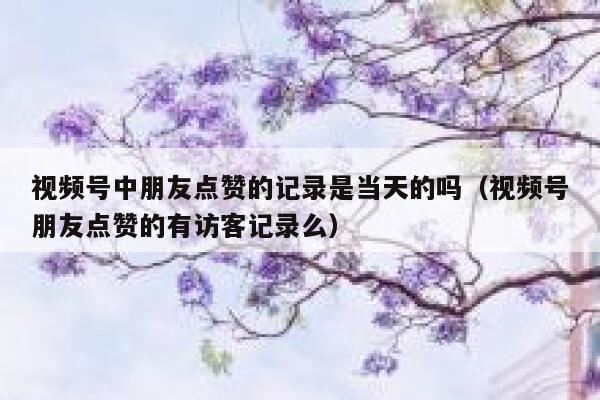 视频号中朋友点赞的记录是当天的吗(视频号朋友点赞的有访客记录么) 第1张 视频号中朋友点赞的记录是当天的吗(视频号朋友点赞的有访客记录么) 第1张