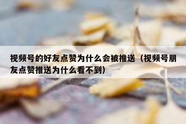 视频号的好友点赞为什么会被推送(视频号朋友点赞推送为什么看不到) 第1张 视频号的好友点赞为什么会被推送(视频号朋友点赞推送为什么看不到) 第1张