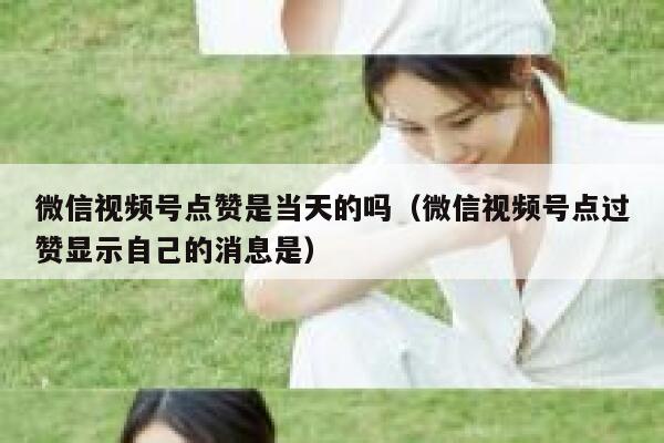 微信视频号点赞是当天的吗(微信视频号点过赞显示自己的消息是) 第1张 微信视频号点赞是当天的吗(微信视频号点过赞显示自己的消息是) 第1张