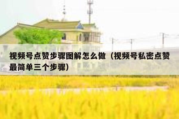 视频号点赞步骤图解怎么做（视频号私密点赞最简单三个步骤） 第1张