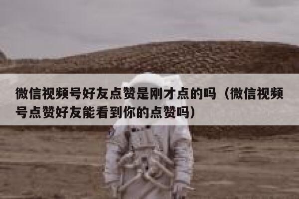 微信视频号好友点赞是刚才点的吗（微信视频号点赞好友能看到你的点赞吗） 第1张