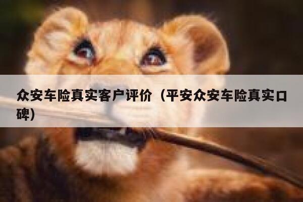 众安车险真实客户评价（平安众安车险真实口碑） 第1张