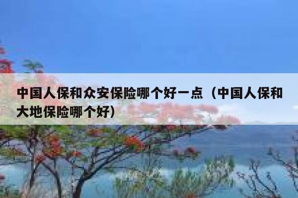 中国人保和众安保险哪个好一点（中国人保和大地保险哪个好） 第1张