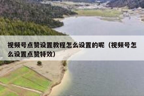 视频号点赞设置教程怎么设置的呢（视频号怎么设置点赞特效） 第1张