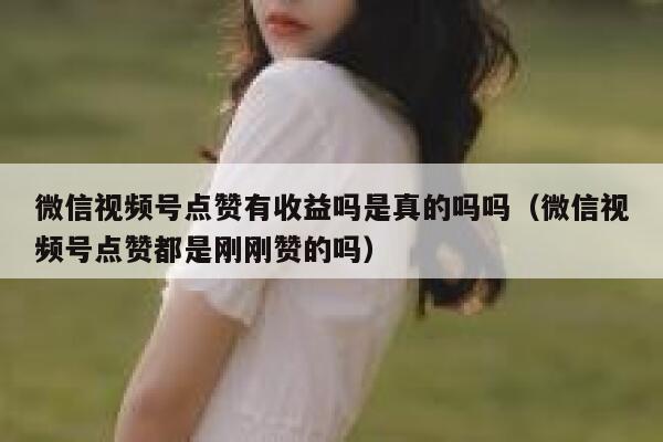 微信视频号点赞有收益吗是真的吗吗（微信视频号点赞都是刚刚赞的吗） 第1张
