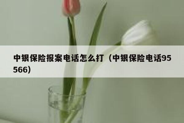 中银保险报案电话怎么打(中银保险电话95566) 第1张 中银保险报案电话怎么打(中银保险电话95566) 第1张