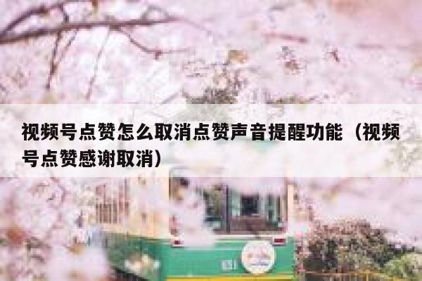 视频号点赞怎么取消点赞声音提醒功能(视频号点赞感谢取消) 第1张 视频号点赞怎么取消点赞声音提醒功能(视频号点赞感谢取消) 第1张