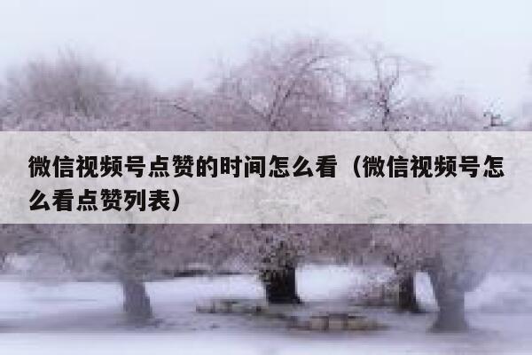 微信视频号点赞的时间怎么看（微信视频号怎么看点赞列表） 第1张