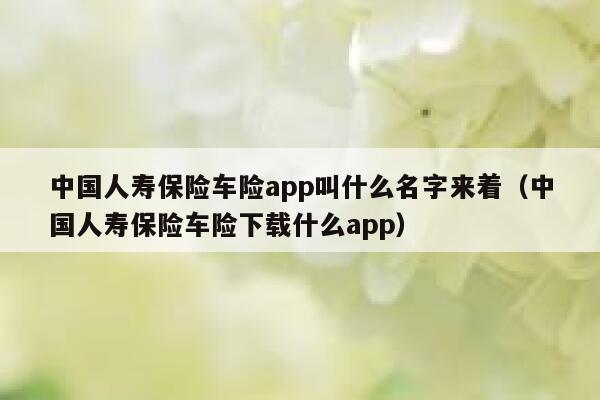 中国人寿保险车险app叫什么名字来着（中国人寿保险车险下载什么app） 第1张
