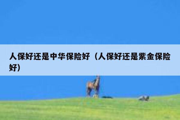 人保好还是中华保险好（人保好还是紫金保险好） 第1张