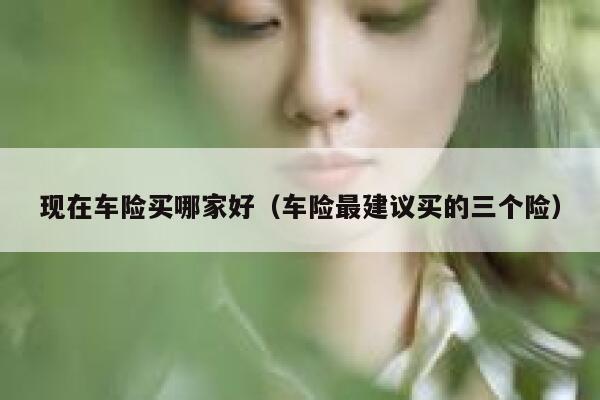 现在车险买哪家好（车险最建议买的三个险） 第1张