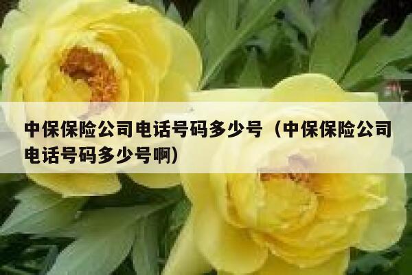 中保保险公司电话号码多少号（中保保险公司电话号码多少号啊） 第1张