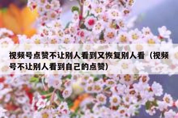 视频号点赞不让别人看到又恢复别人看（视频号不让别人看到自己的点赞） 第1张