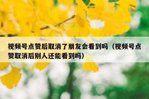 视频号点赞后取消了朋友会看到吗（视频号点赞取消后别人还能看到吗） 第1张