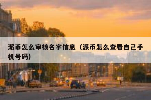 派币怎么审核名字信息（派币怎么查看自己手机号码） 第1张