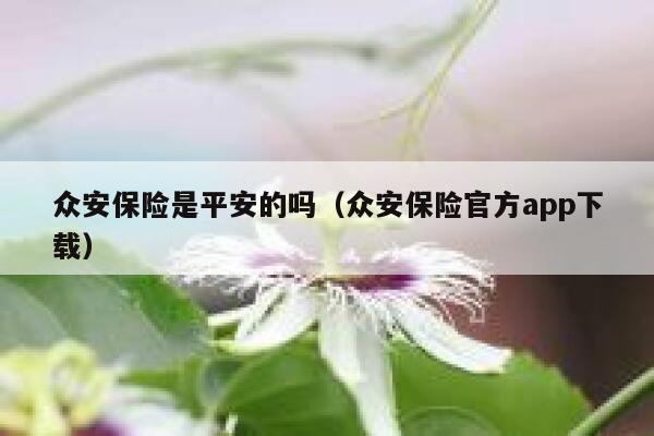 众安保险是平安的吗(众安保险官方app下载) 第1张 众安保险是平安的吗(众安保险官方app下载) 第1张