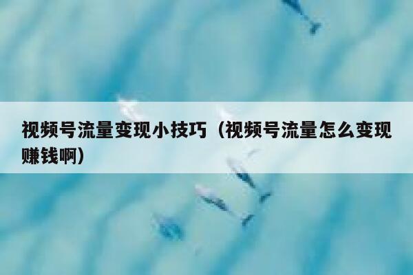 视频号流量变现小技巧(视频号流量怎么变现赚钱啊) 第1张 视频号流量变现小技巧(视频号流量怎么变现赚钱啊) 第1张
