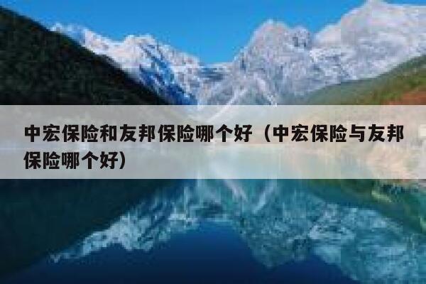 中宏保险和友邦保险哪个好（中宏保险与友邦保险哪个好） 第1张