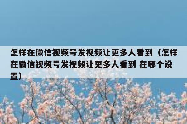 怎样在微信视频号发视频让更多人看到(怎样在微信视频号发视频让更多人看到 在哪个设置) 第1张 怎样在微信视频号发视频让更多人看到(怎样在微信视频号发视频让更多人看到 在哪个设置) 第1张