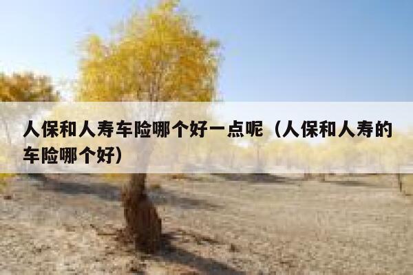 人保和人寿车险哪个好一点呢（人保和人寿的车险哪个好） 第1张