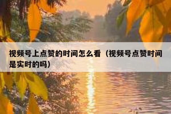 视频号上点赞的时间怎么看（视频号点赞时间是实时的吗） 第1张
