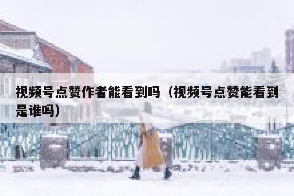视频号点赞作者能看到吗(视频号点赞能看到是谁吗) 第1张 视频号点赞作者能看到吗(视频号点赞能看到是谁吗) 第1张
