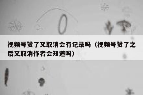 视频号赞了又取消会有记录吗（视频号赞了之后又取消作者会知道吗） 第1张