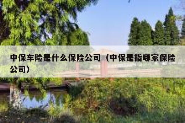 中保车险是什么保险公司（中保是指哪家保险公司） 第1张