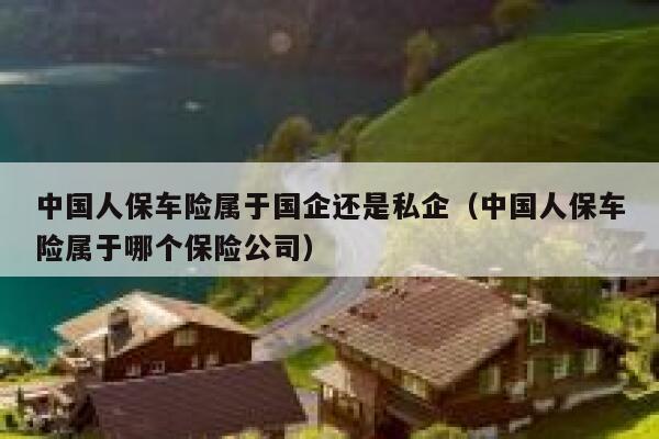 中国人保车险属于国企还是私企（中国人保车险属于哪个保险公司） 第1张