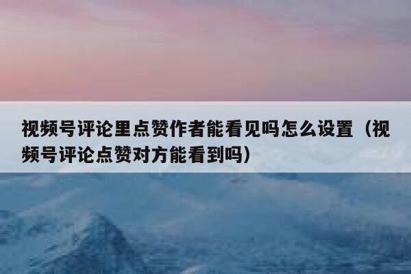 视频号评论里点赞作者能看见吗怎么设置(视频号评论点赞对方能看到吗) 第1张 视频号评论里点赞作者能看见吗怎么设置(视频号评论点赞对方能看到吗) 第1张