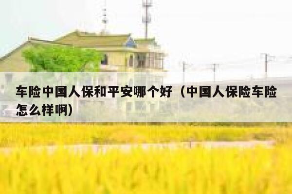 车险中国人保和平安哪个好（中国人保险车险怎么样啊） 第1张